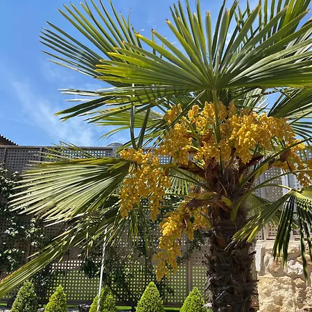 Casitas De Cerezo Διαμέρισμα *