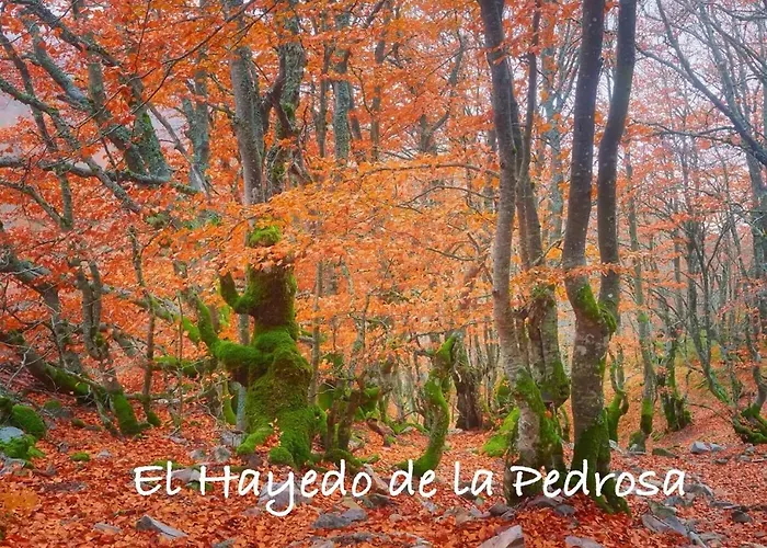 Casitas De Cerezo Cerezo de Abajo