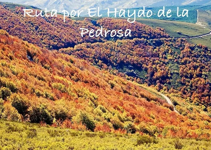 Casitas De Cerezo Cerezo de Abajo