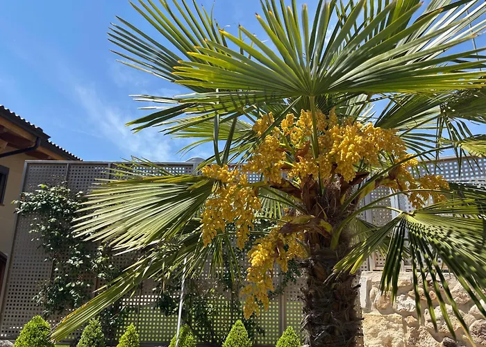 Casitas De Cerezo Appartement *